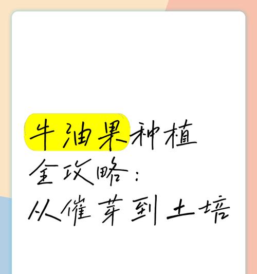 牛油果如何种植方法？从种子到成树的步骤是什么？