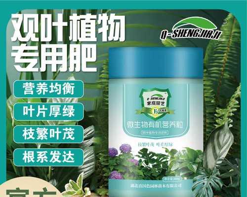 绿萝适合施用什么肥料？如何正确施肥？