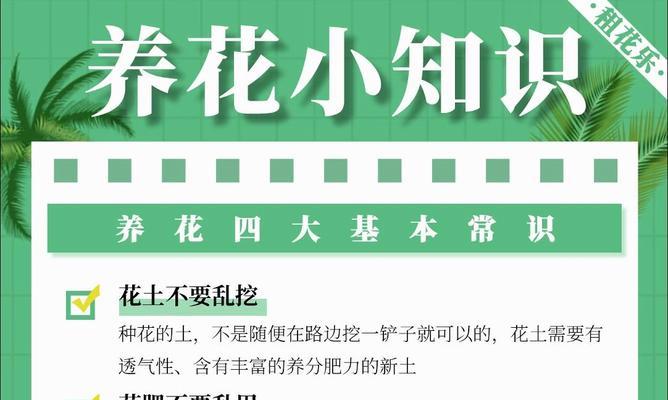 养花有哪些小常识？如何应用这些养花技巧？