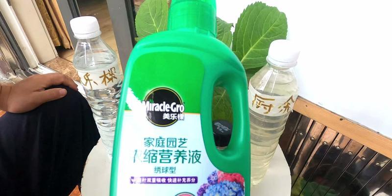 什么可以做花肥？自制花肥有哪些好方法？
