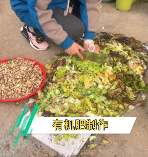 什么可以做花肥？自制花肥有哪些好方法？
