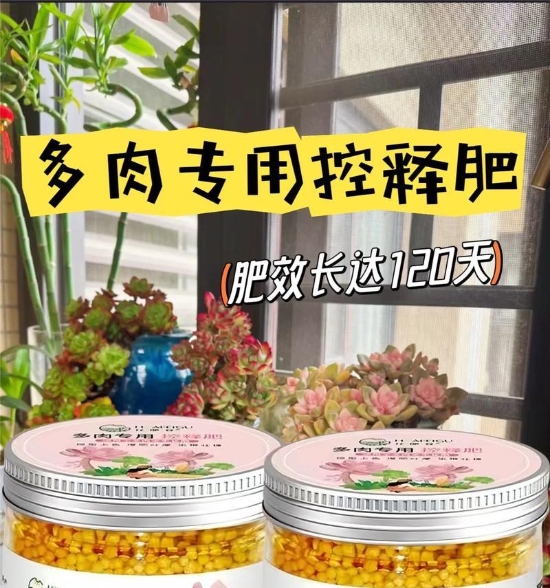 什么可以做花肥？自制花肥有哪些好方法？