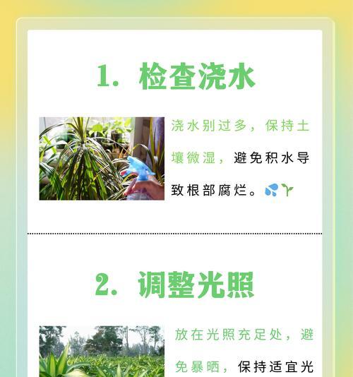 映山红叶子发黄是什么原因？如何解决？