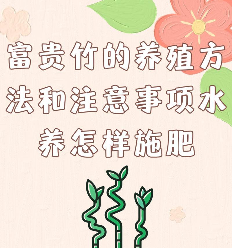 富贵竹水养的正确方法是什么？需要注意什么？