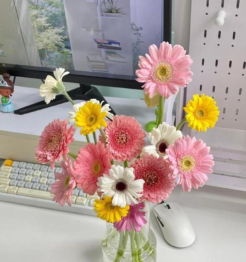办公室适合种植哪些花卉？