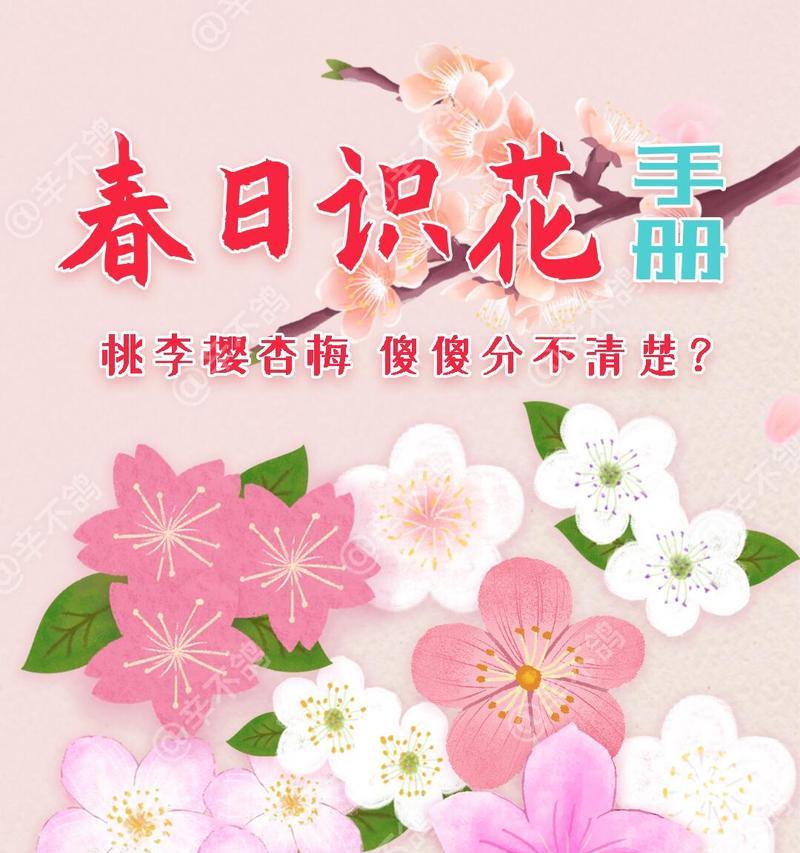 春季开花的植物有哪些？菊花和樱花哪个先开？