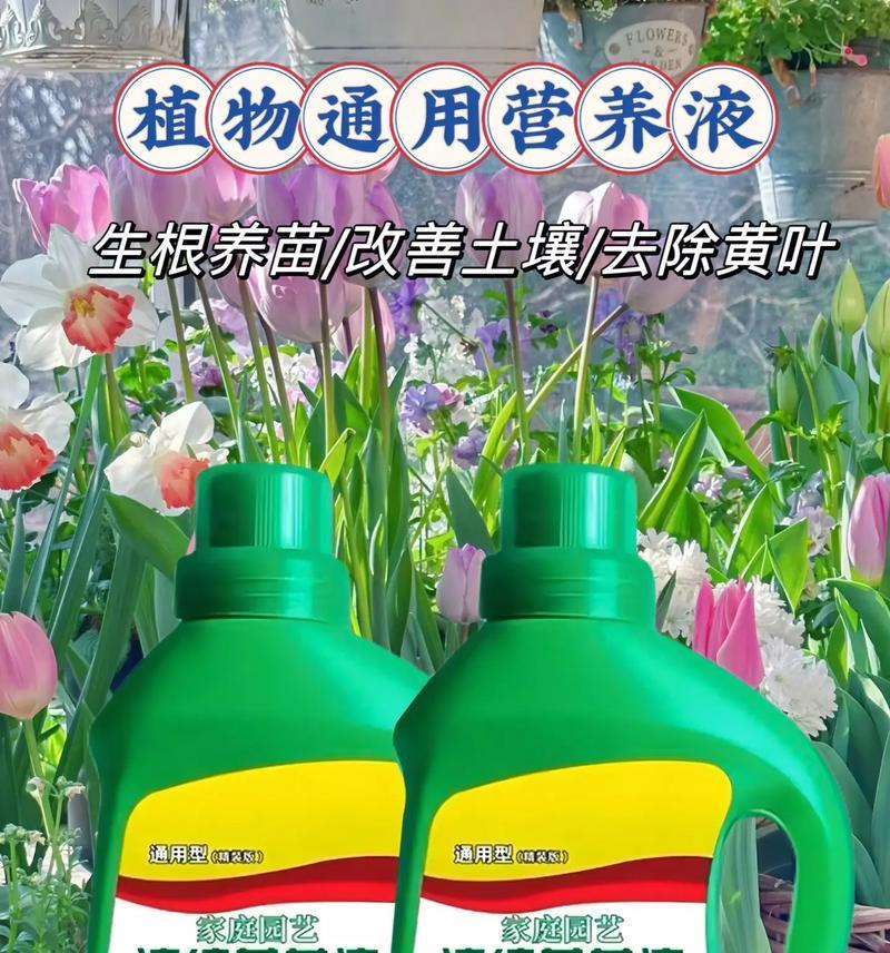 植物叶子发黄是缺哪种元素？如何补充？