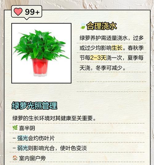 绿箩新叶发黄的解决办法是什么？