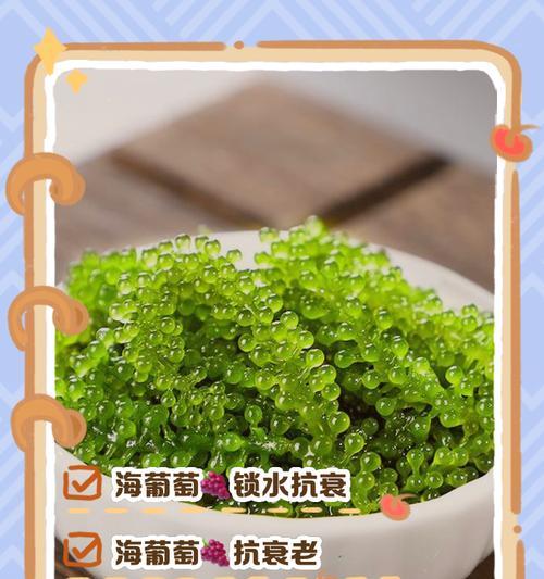 葡萄的繁殖方法有哪些？如何进行葡萄的繁殖？