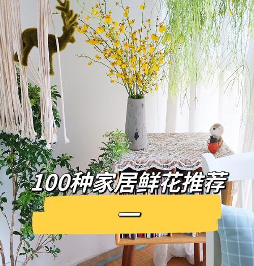 跳舞兰的养殖技巧是什么？如何保持跳舞兰的健康状态？