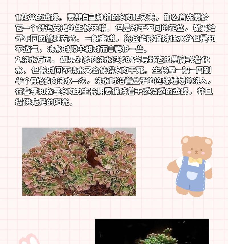 多肉植物怎么栽种？栽种多肉植物的正确步骤是什么？