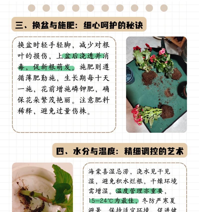 海棠花浇水的正确方法是什么？多久浇一次合适？