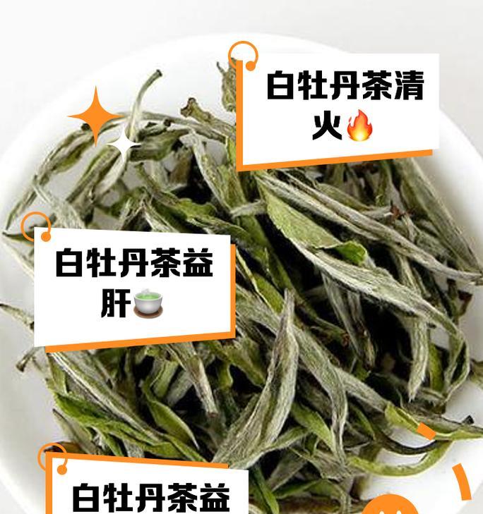 白牡丹的养护技巧有哪些？白牡丹的繁殖方法是什么？