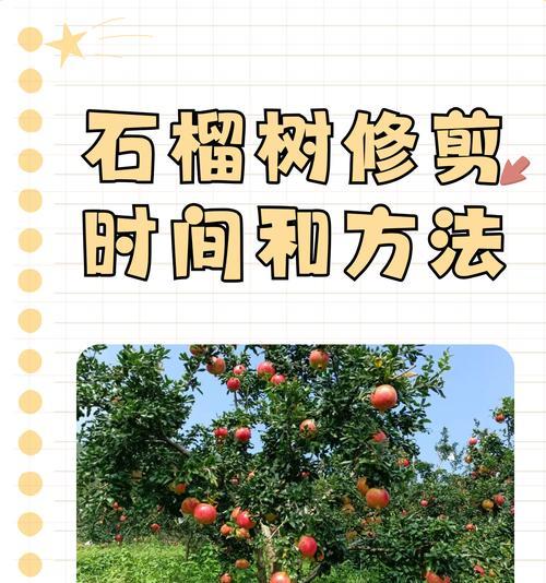 鸡蛋花修剪的最佳时期是什么时候？修剪后如何促进恢复？