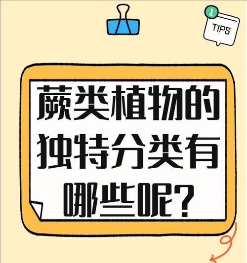 常见的蕨类植物有哪些种类？如何区分和养护蕨类植物？