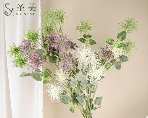 芒花属于什么植物？它有什么特别之处？