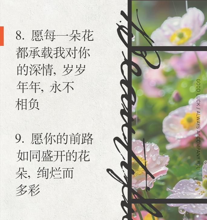 以玫瑰传递浪漫花语是什么？如何用玫瑰表达爱意？