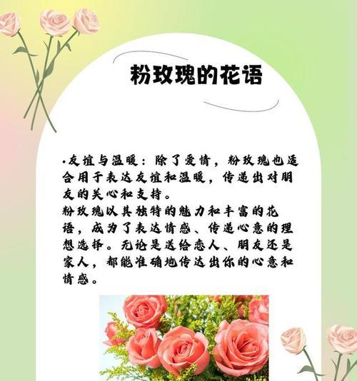 小十字玫瑰花语是什么？小十字玫瑰传递了怎样的情感？
