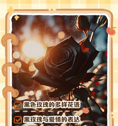 99朵极光玫瑰代表什么含义？花语背后的故事是什么？
