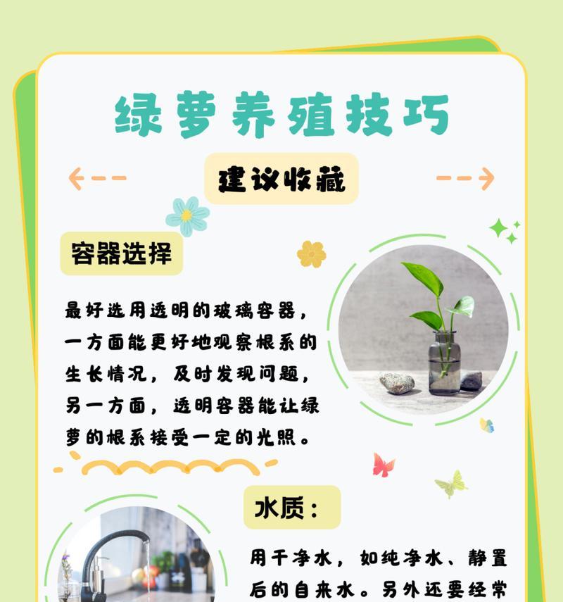 绿萝叶子发软怎么办？怎样恢复绿萝的生机？