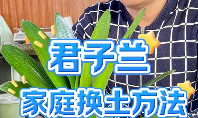 君子兰异花品种蓝色代表什么？蓝色君子兰的特殊含义？