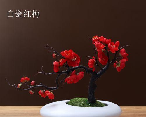 插花花艺摆件盆栽如何选择？怎样搭配更美观？