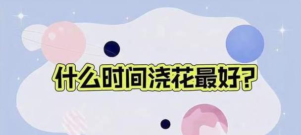 植物浇水的最佳时间是什么时候？如何根据季节调整浇水频率？
