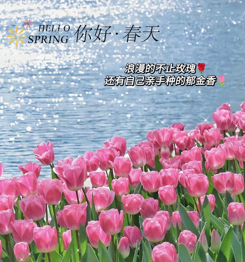 花语类似摆烂的植物是什么？有哪些植物的花语带有消极含义？