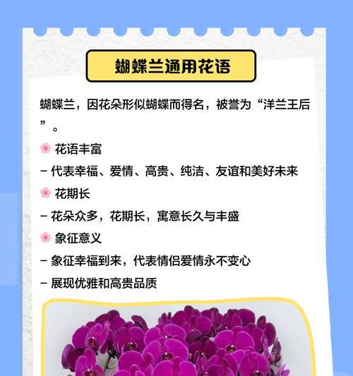 予你花语什么意思啊网络用语？销售的花语是什么？
