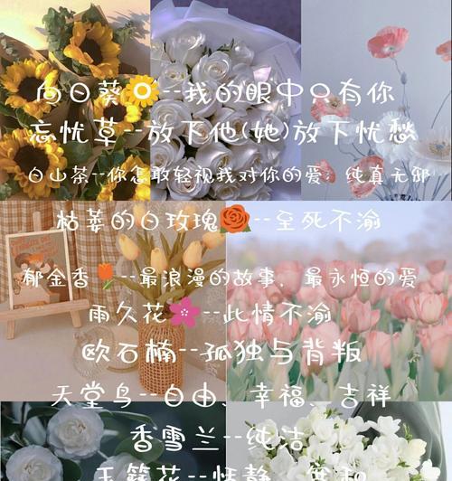 爱情名花的花语有哪些？