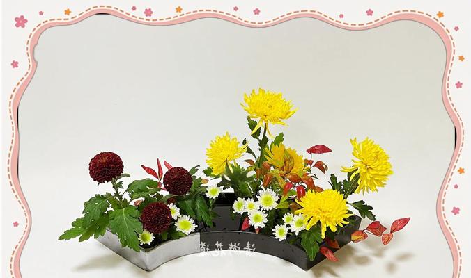 插花与花艺的区别在哪里？两者有哪些不同？
