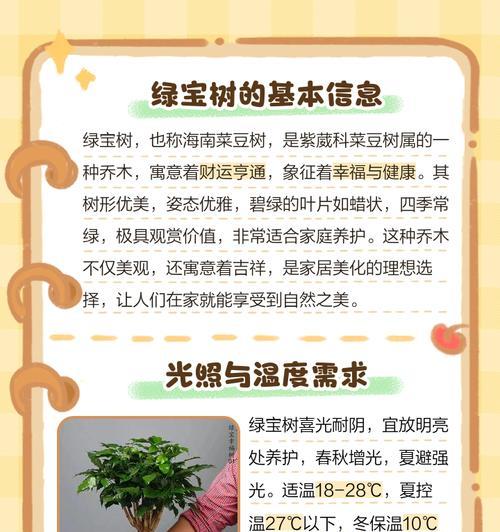 绿宝树的别名是什么？它有哪些特点？
