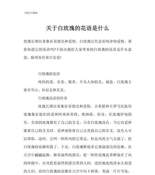 几束白玫瑰的花语是什么？白玫瑰代表了什么意义？