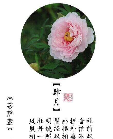 十二月花语有哪些含义？