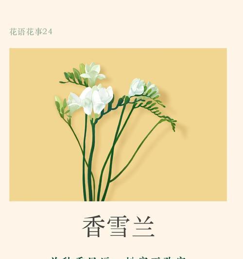 十二月花语有哪些含义？