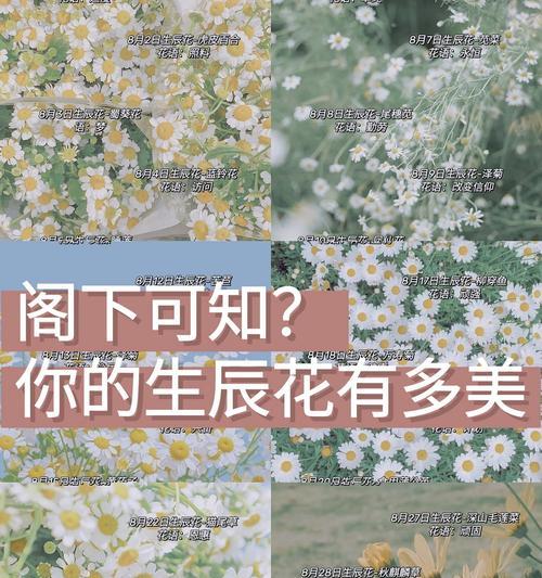 十二月花语有哪些含义？