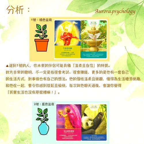 浅盆种植植物有哪些选择？如何进行有效管理？