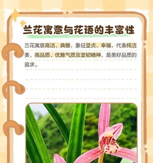 黄葛兰花的寓意与花语有何深意？