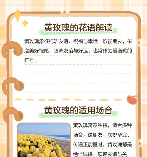 哪种玫瑰花语最暖心？它传递了怎样的情感？