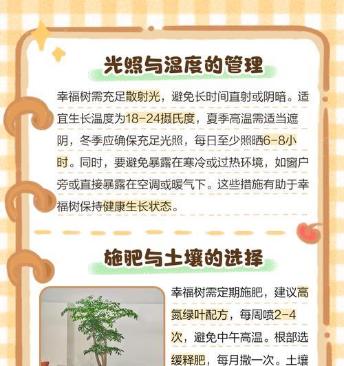 幸福树掉叶子的原因是什么？如何防止？