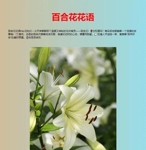 花真的知道自己有花语吗？这是怎么回事？