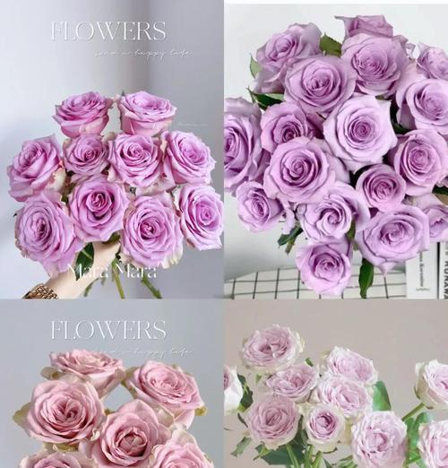 胸上紫玫瑰花痣有何寓意？花语是什么？