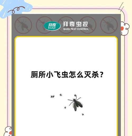 小飞虫入侵盆栽如何处理？有效预防小飞虫的方法有哪些？