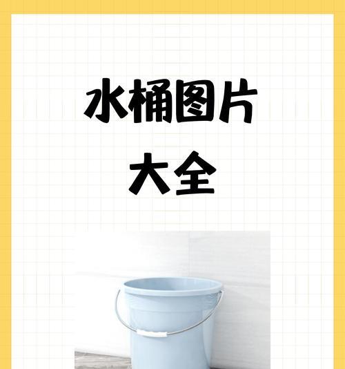 水桶里适合种植哪些绿色植物？原因是什么？