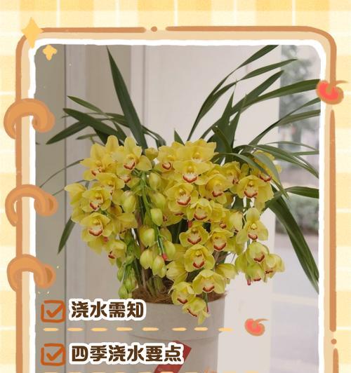 给花浇水的正确方法是什么？