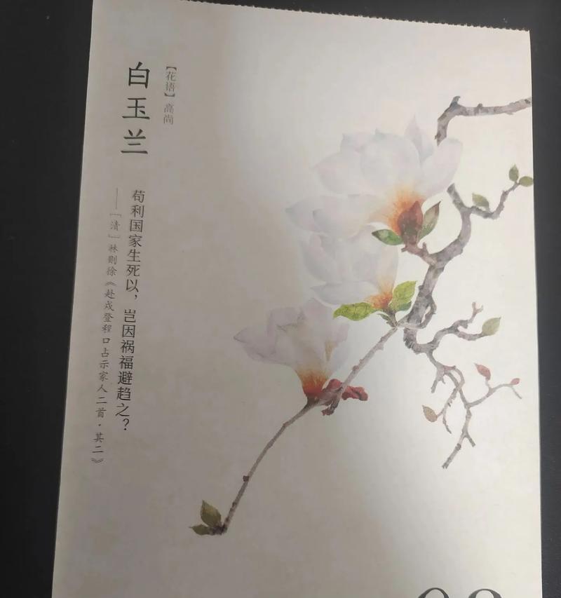玉兰花的花语你知道吗？