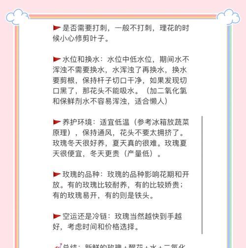 微型玫瑰花的养护秘诀有哪些？