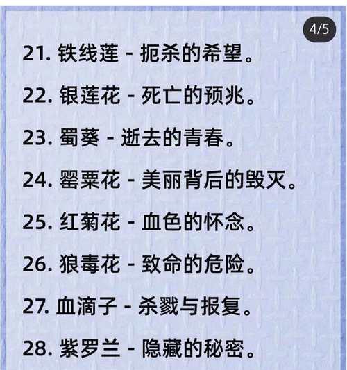 超级演说家的花语有何深意？