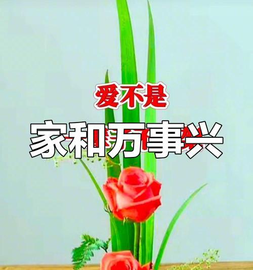 夫妻和谐不争吵的花语代表什么？