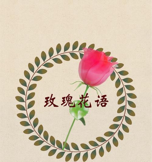 葬礼中爱的花语如何表达？传递了什么信息？